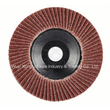 Aluminum Oxide with Plastic Cover Flap Disc